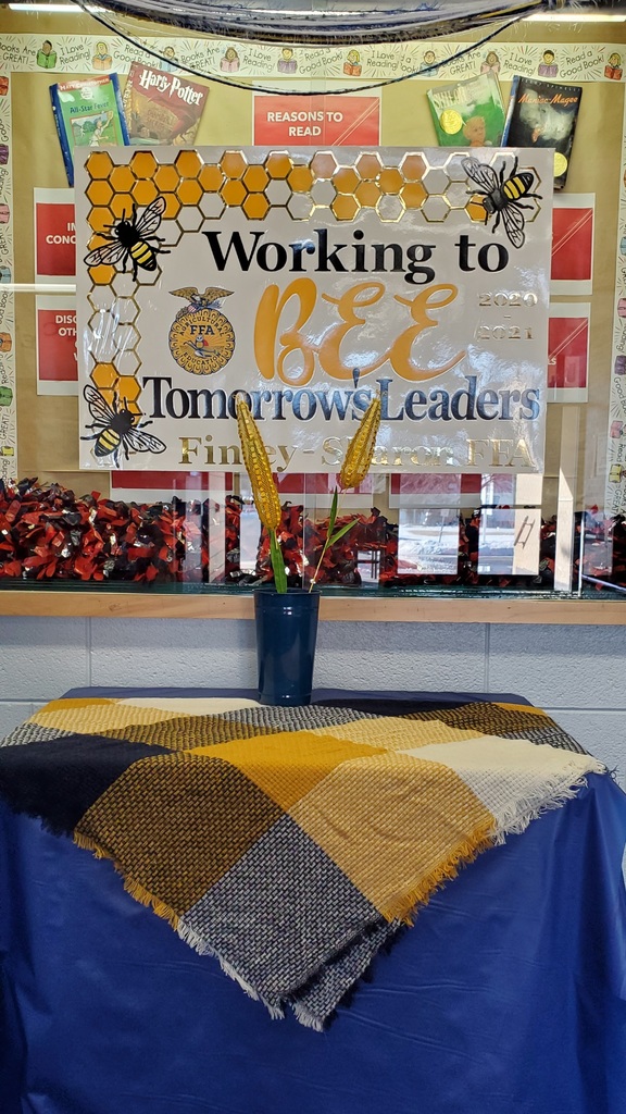 FFA display
