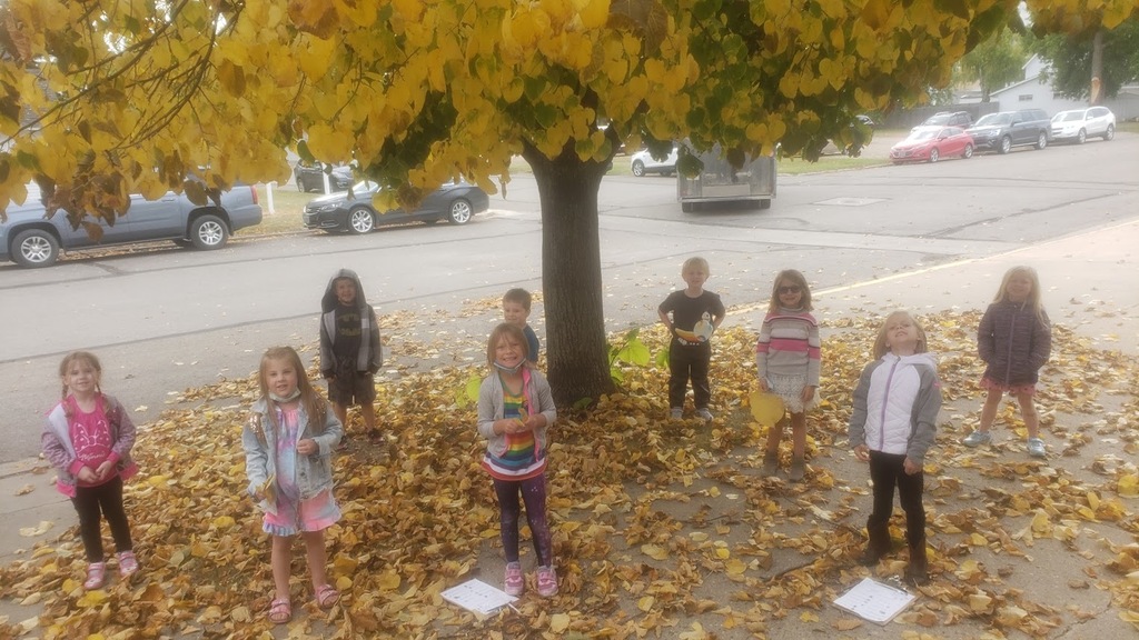 Kinders.fall leaves.big smiles.outside