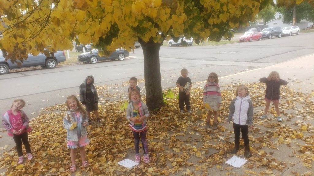 fall leaves.silly faces.outside.kinders